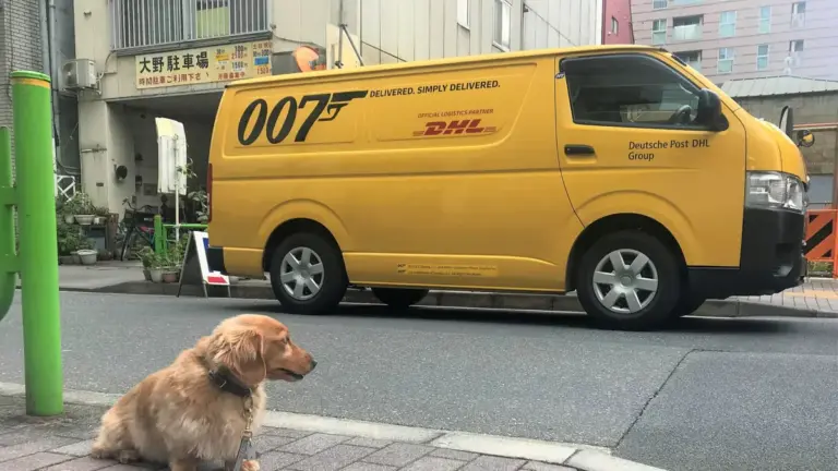 Логістичний гігант DHL почав купувати китайські електровантажівки