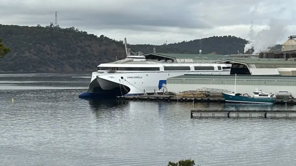Найбільший у світі електричний пором «China Zorrilla» вийшов на рейси