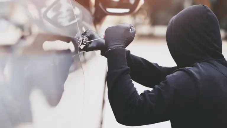 Поліція штату Іллінойс повернула понад 400 викрадених авто за три місяці