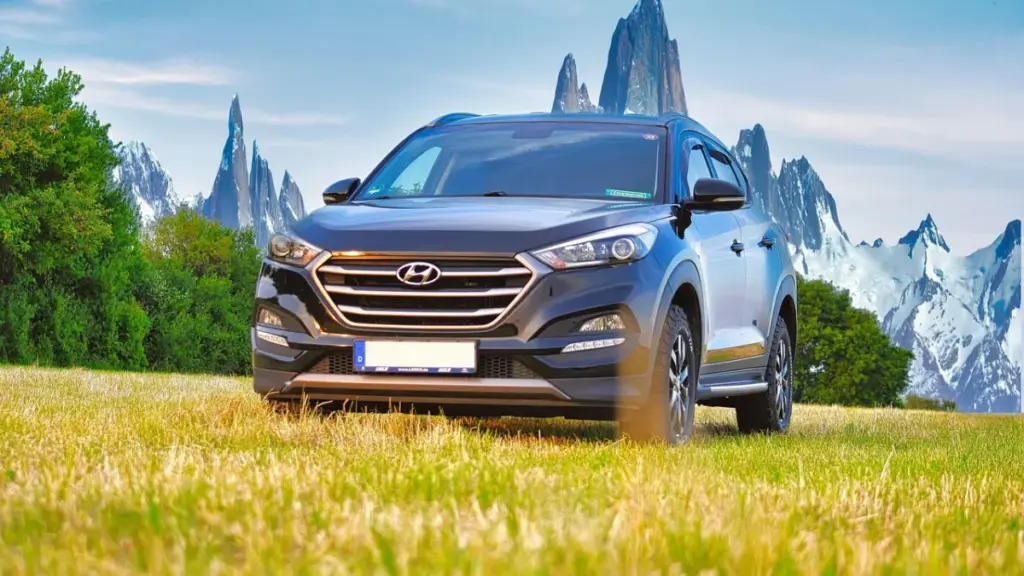 У США викрали Hyundai Tucson із прахом батьків власниці напередодні похорону